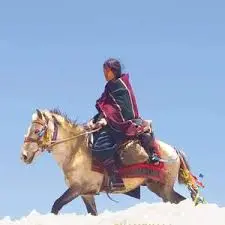 《香巴拉2024》：法国影坛又一炸弹？揭露不忍直视的现实，看完我沉默了！