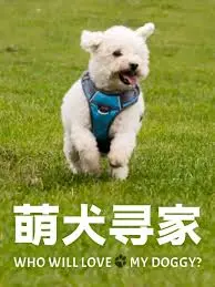 《萌犬寻家》：哭到停不下来！狗狗的忠诚有多感人？柚子影视诚意推荐！