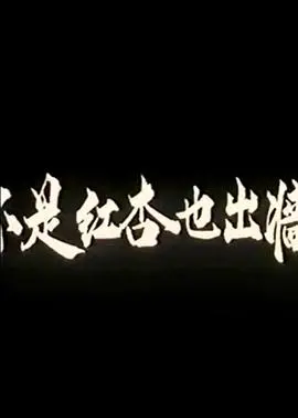 《不是红杏也出墙》：别被名字骗了！这剧情比你想的更劲爆，娱乐热点看不停！